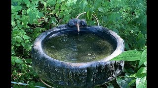 A Better Way to Keep Your Birdbath Full of Water [upl. by Noman]