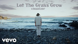 Ruel  LET THE GRASS GROW Visualizer [upl. by Annibo]