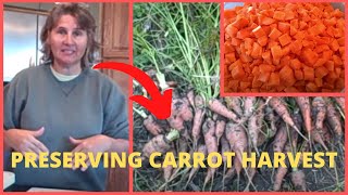 Digging Carrots How to Blanch and Freeze Carrot Harvest Crop [upl. by Ody358]