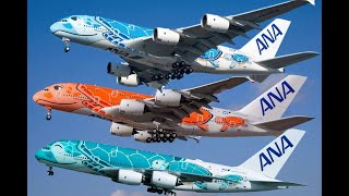 The Best A380 Livery  ANA A380 Fleet  All 3 flying Turtles [upl. by Navada]