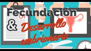 Fecundación y desarrollo embrionario [upl. by Dualc187]