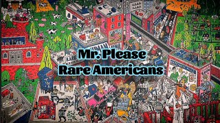 Rare Americans  Mr Please Lyrics [upl. by Rebna]