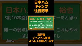 【日本ハム】キャンプ注目野手は？【プロ野球】 プロ野球 野球 日本ハム [upl. by Ecnerrat]