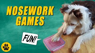 Nosework Games [upl. by Adnerak268]