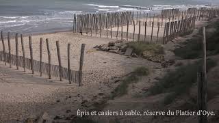 Les HautsdeFrance  PasdeCalais OyePlage [upl. by Shing]