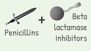 Penicillin with Beta lactamase inhibitors [upl. by Tteirrah]