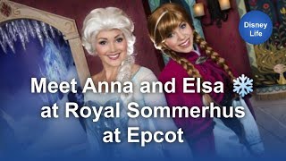 Disney Frozen Anna and Elsa Meet and Greet 2019 [upl. by Annabell302]