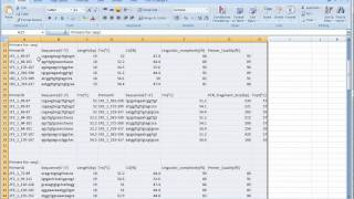 jPCR software advanced PCR use [upl. by Silver53]