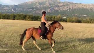 Trail riding advantures MalirajKonavle [upl. by Duhl162]