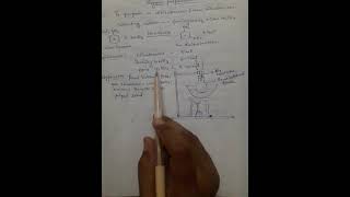 preparation of mdinitrobenzene from nitrobenzene pract13 [upl. by Ahsennod]