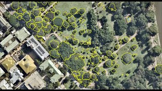 Creating Polygons in ArcGIS Pro [upl. by Devol]