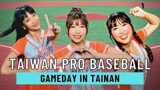 CPBL Champions Tainan Lions  Pro Baseball in Taiwan [upl. by Elohc249]