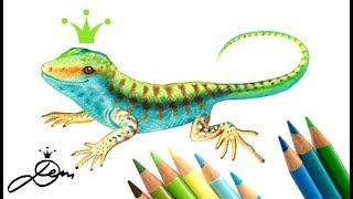 Eidechse zeichnen lernen 🦎 How to Draw a Gecko 🦎 Comment dessiner un Lézard [upl. by Ailecnarf]