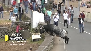 AS Melhores Touradas 2018  Parte 5  Ilha Terceira AÇORES [upl. by Adnilem86]