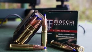 Fiocchi 125gr SST  300 Blackout Ammo Test [upl. by Donna804]