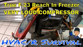 True T23F Reach In Freezer Has Loud Compressor At StartUp [upl. by Zampardi29]