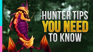 TBC Hunter Essential Guide  Burning Crusade Primer  WoW TBC Classic [upl. by Moia]