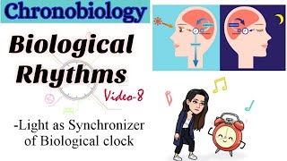 Part8 Light as Synchronizer of Biological clock Chronobiology Neurophysiology Ethology [upl. by Namus]