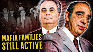 The 5 Mafia Families You WONT BELIEVE Existed in the US [upl. by Noisla575]