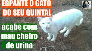 Espantar o gato do vizinho acabe com mau cheiro de urina de gato [upl. by Neicul]