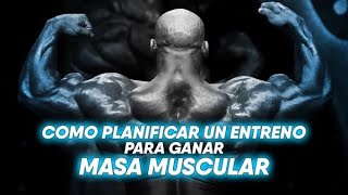 Cómo planificar un ENTRENAMIENTO para GANAR MASA MUSCULAR  Principiantes Intermedios y Avanzados [upl. by Anaiq]