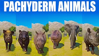 Pachyderm Animals Speed Race in Planet Zoo included Rhinoceros Tapir Wild Boar Elephant [upl. by Risley]