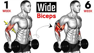 14 BEST Exercises for WIDER BICEPS [upl. by Francisca]