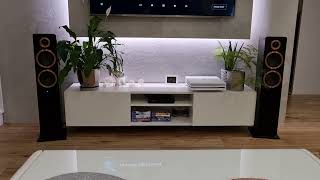 Argon Audio Forte A55 kolumny aktywne [upl. by Feirahs]