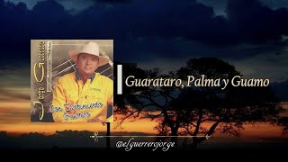 Jorge Guerrero  Guarataro Palma y Guamo [upl. by Yesteb]