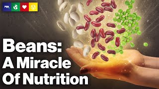 Beans  A Miracle Of Nutrition [upl. by Souza]