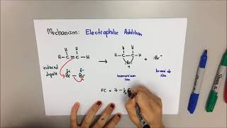 ethene and bromine [upl. by Eisoj]