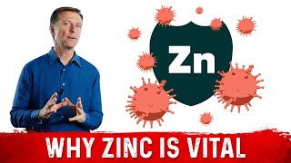 Importance of Zinc for the Immune System [upl. by Grati557]