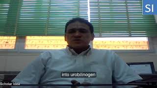 Urobilinogen in urine explained [upl. by Amrak]