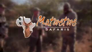 Matwetwe Safaris Promo Video 2019 [upl. by Yoo87]