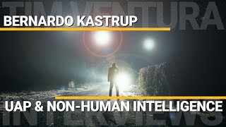 UAP amp NonHuman Intelligence  Bernado Kastrup [upl. by Starks]