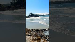 Strolling at the tofino Chesterman Beach  vancouverisland 🇨🇦 [upl. by Wilkie]