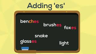 Spelling Rules  Adding es to Words  EasyTeaching [upl. by Radec]