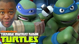 NINJA TURTLES quotTransDimensional Turtlesquot REVIEW [upl. by Aggarwal]