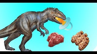 HOW TO FEED YOUR BABY GIGAS  EASIEST WAY [upl. by Ardeen]