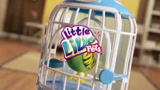 Little Live Pets Bird TV Commercial [upl. by Platus]