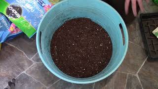 Planting onions with a Biochar seed mix [upl. by Curtice]