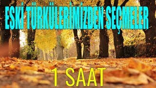 ESKİ TÜRKÜLERİMİZDEN SEÇMELER  1 SAATLİK  🇹🇷 🎵 🎧 [upl. by Nnahtebazile]