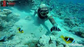 Freediving con Fred Kofman [upl. by Pauiie409]