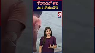 గోదావరిలో తొలి పులస దొరికిందోచ్  Godavari Famous Pulasa Fish  RTV [upl. by Cimbura]