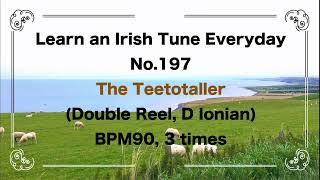 197 Teetotaller Double Reel G Ionian [upl. by Griffiths]