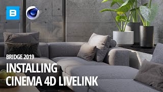 Installing the Cinema 4D Live Link  Quixel Bridge 2019 [upl. by Erdnassac]