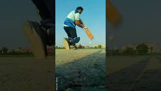 Stump cam view cricket shorts stumpcam brokenstump noidacricket cricketreels [upl. by Nynnahs]