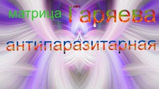 матрица Гаряева антипаразитарная [upl. by Downs]