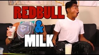 Redbull and Milk Challenge [upl. by Cired]