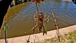 Catfishing On The River Bank Fishing [upl. by Koetke827]